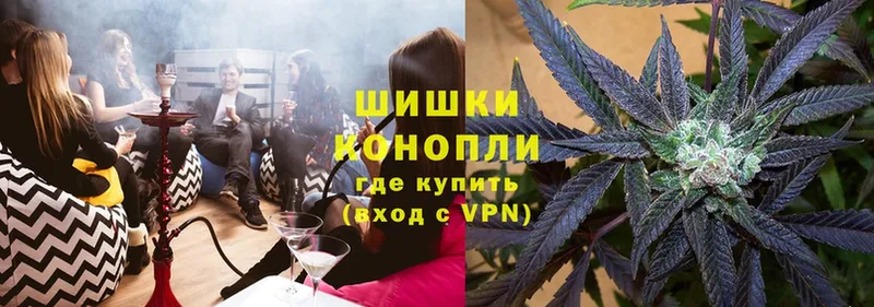 Канабис SATIVA & INDICA  Солигалич 